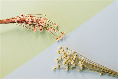 上海公立小學教師應聘要求有哪些?