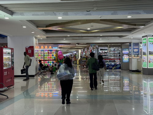 從入境游到入境購(gòu) 帶著空箱來中國(guó)的外國(guó)游客多起來了