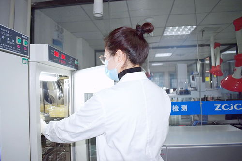 鄭州食品檢測 專業(yè)機(jī)構(gòu)、服務(wù)體系與公眾守護(hù)